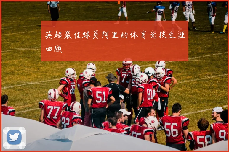 英超最佳球员阿里的体育竞技生涯回顾