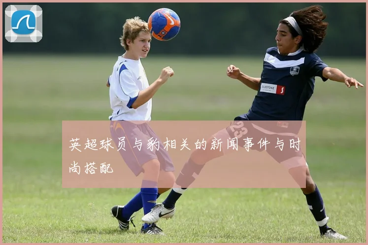 英超球员与豹相关的新闻事件与时尚搭配
