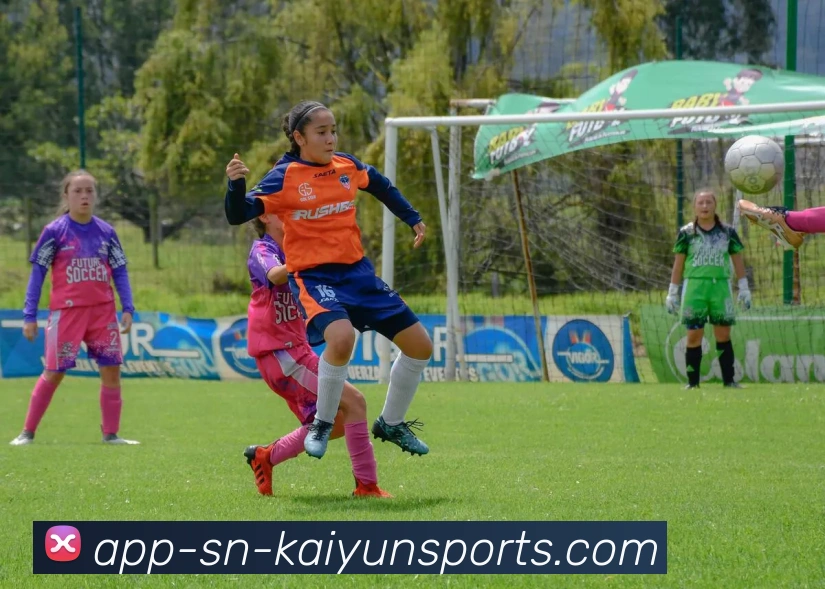 开云app平台生态图